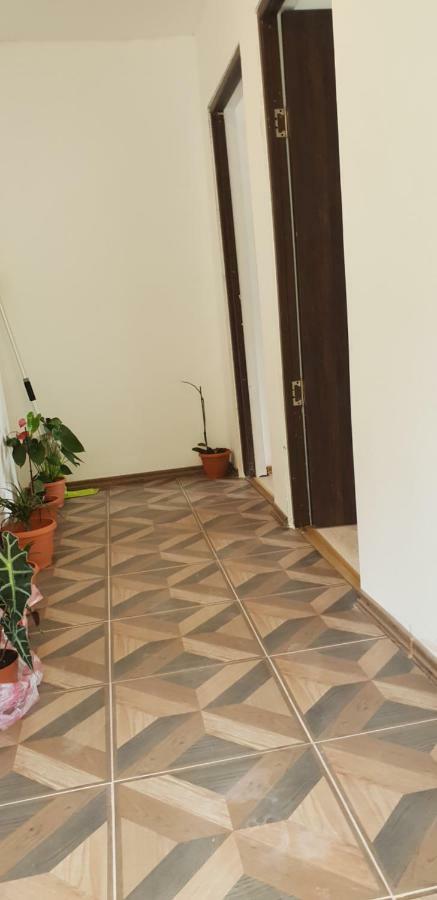 Casa De Vacanta Emd Ieşelniţa Exterior foto